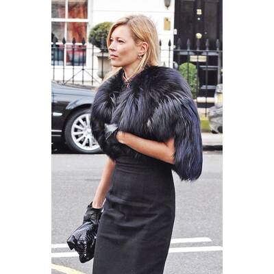 Die Moss im Pelz-Rausch 