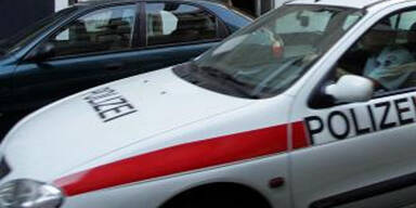 apa polizei auto