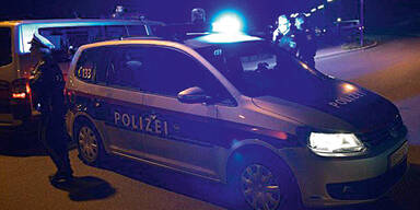 Steirer (61) marschierte mit Gewehr in Kaufhaus