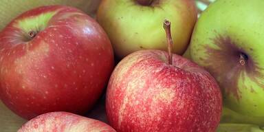 Apfelernte ist eingebrochen.
