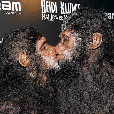 Stars im Halloween-Fieber