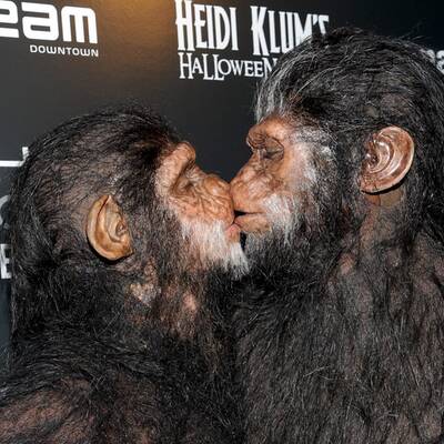 apftp-DAB0312_20111101