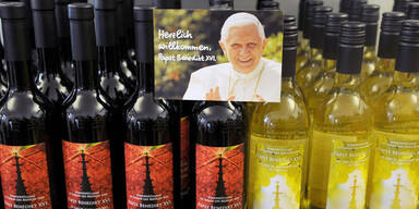 Eisiger Gegenwind für den Papst