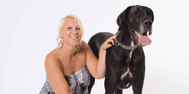 Wau: Apollo (4) ist der süßeste Hund