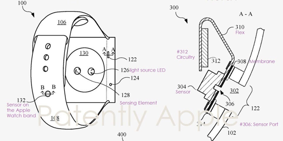 Apple Watch warnt künftig vor drohenden Hai-Angriffen