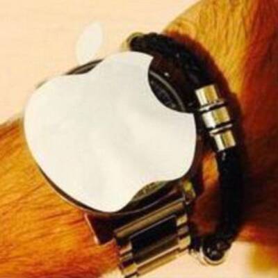 Spott für die Apple Watch