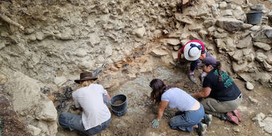 Innsbrucker Arch&auml;ologen