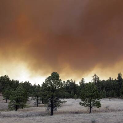 Waldbrand in Arizona