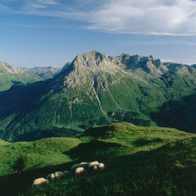 Kitzbühler Alpen (T): Sonnig, 15° in 1000 m