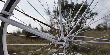 Spott-Denkmal für Armstrong-Sturz