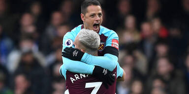 Arnautovic Hernandez