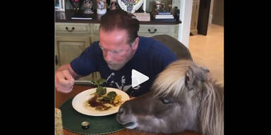 arnold schwarzenegger arnie