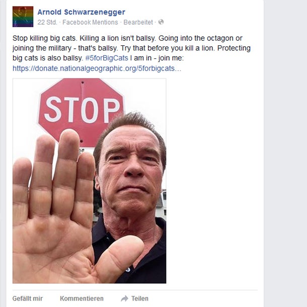 Arnie wettert gegen Löwen-Killer