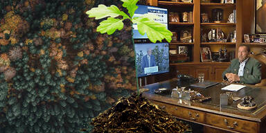 Arnold Schwarzenegger bekommt Orden in einer Videokonferenz mit Oesterreich