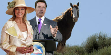 Arnie macht Bo Derek zur Pferdebeauftragten