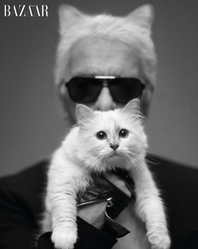 Choupette Lagerfelds erstes Shooting