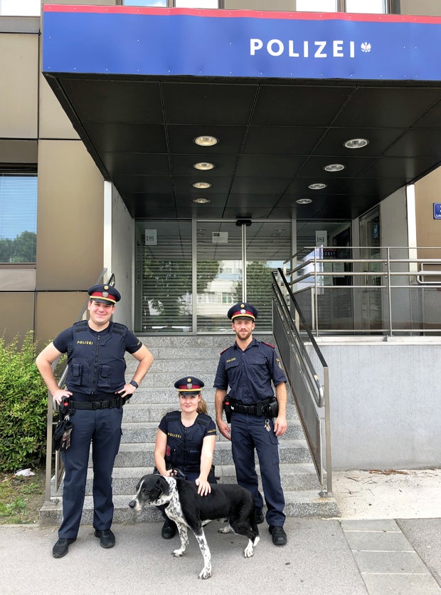 Hund stürzte in Bach und war geschwächt - Polizisten retteten das Tier