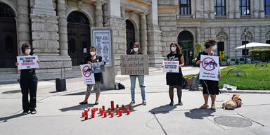 Mahnwache f&uuml;r totes Fiakerpferd Nelson