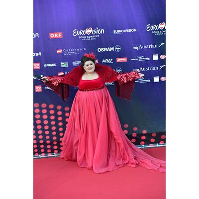 Eurovision Song Contest: Die Eröffnungszeremonie