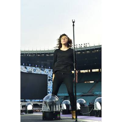 Das Jahr der Austro-Promis 2015