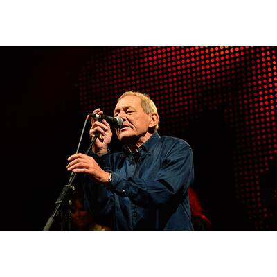 Wolfgang Ambros am Hafener Open Air