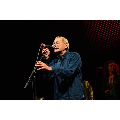 Wolfgang Ambros am Hafener Open Air