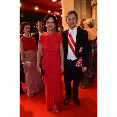 Opernball 2015: Stars am Red Carpet