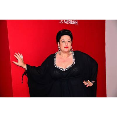 Alfons Haider, Shaun Ross und Co. auf der Life Ball-Preparty im Hotel Le Méridien