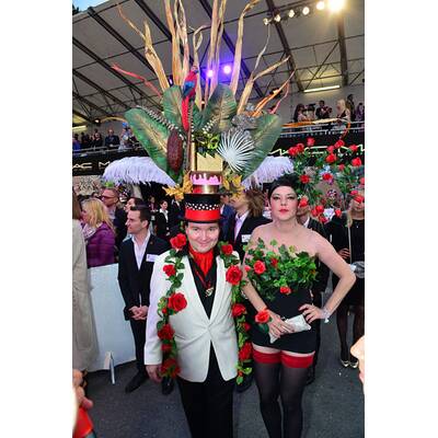 Life Ball 2014: Fantasievolle Kostüme & schrille Gäste