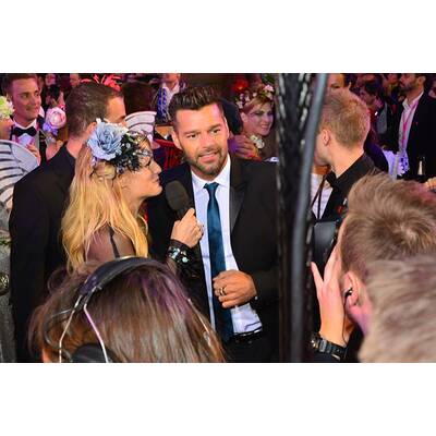 Die Stars treffen am roten Teppich des Life Ball 2014 ein