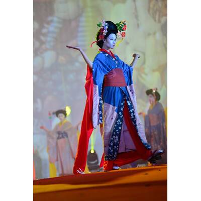 Die Eröffnung des Life Ball 2014