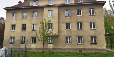 Bub wird  gefeiert  wie ein Held