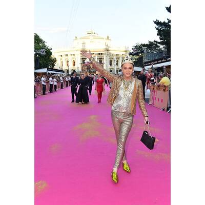 Life Ball 2015: Alle Stars