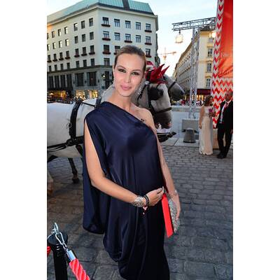 Das österreichische Society-Jahr 2014