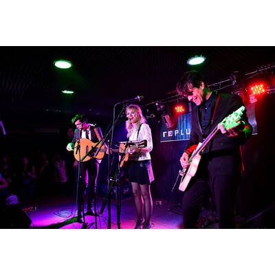 The Common Linnets: Ilse Delange in Wien