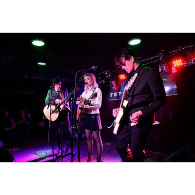 The Common Linnets: Ilse Delange in Wien