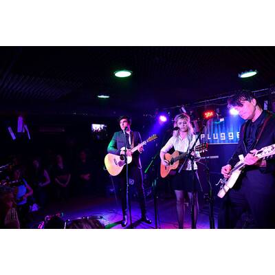 The Common Linnets: Ilse Delange in Wien