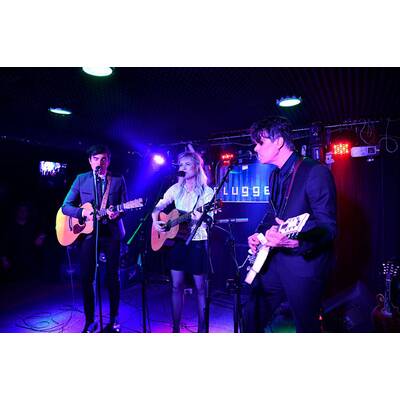 The Common Linnets: Ilse Delange in Wien