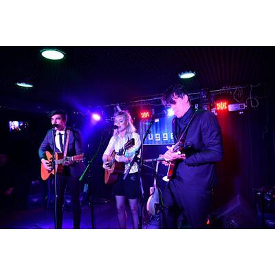 The Common Linnets: Ilse Delange in Wien