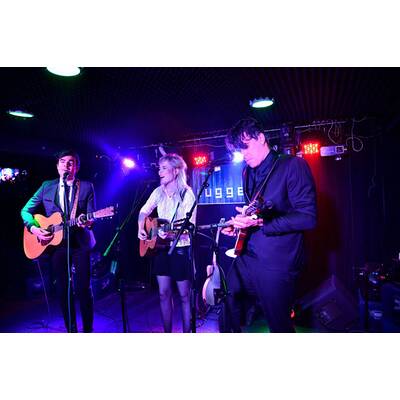 The Common Linnets: Ilse Delange in Wien