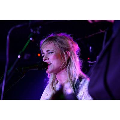 The Common Linnets: Ilse Delange in Wien