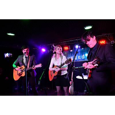 The Common Linnets: Ilse Delange in Wien