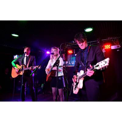 The Common Linnets: Ilse Delange in Wien