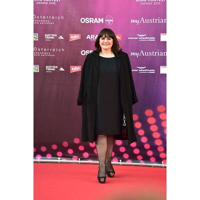 Eurovision Song Contest: Die Eröffnungszeremonie