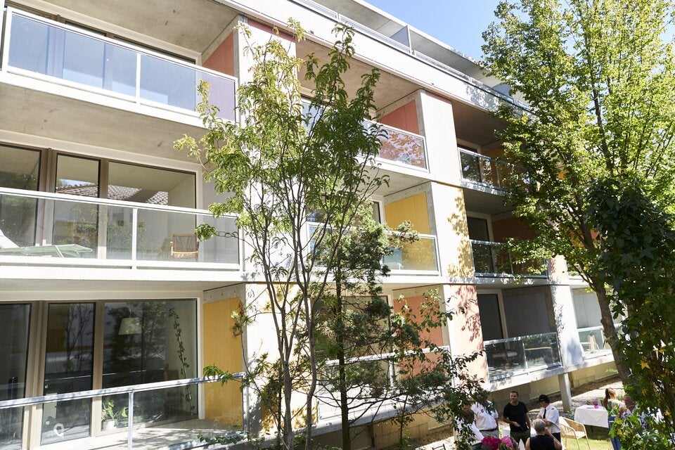 Neue Wohn-Oase lässt Pitten erstrahlen