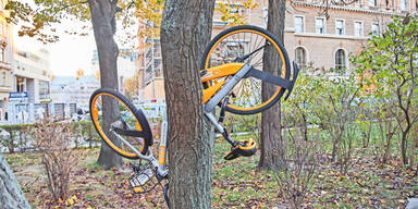 Leihrad-Chaos: Erster Betreiber gibt auf