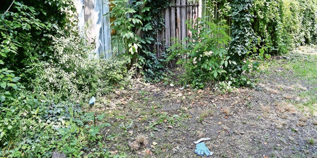 TOtes Baby in Wiener Park