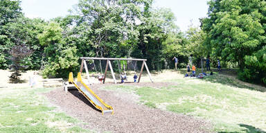 TOtes Baby in Wiener Park