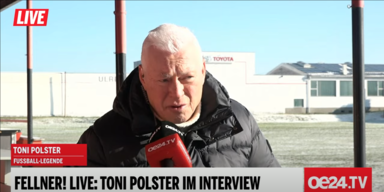 Polster