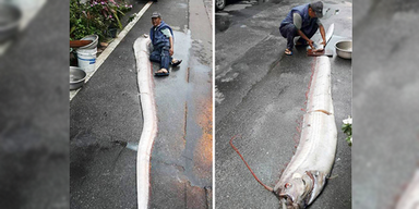 Mysteri&ouml;ses Erdbeben-Monster schockt ganze Stadt